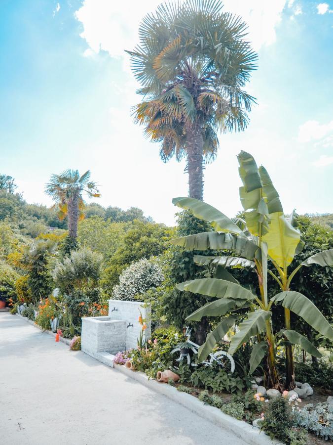 Apartments Gjenashaj ウルツィニ エクステリア 写真
